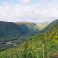 DSC 0017